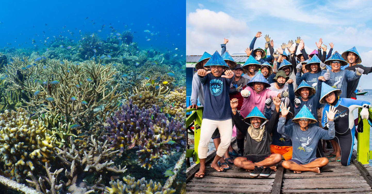 Advocates Successfully Conclude the World’s Largest Global Reef Restoration Program