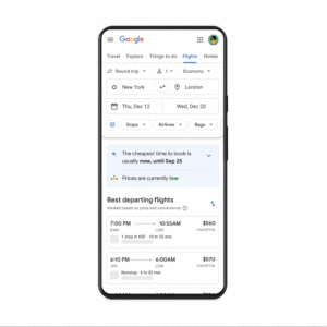 Google Flights 2.gif