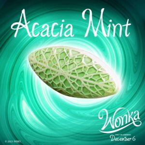 Acacia Mint