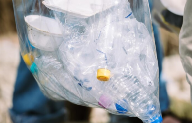 SHARED Cover Collage x2 21