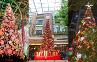 christmas trees manila 2023