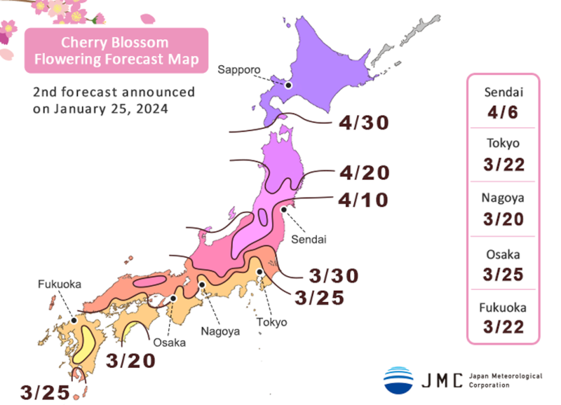 japan sakura cherry blossoms forecast 2024