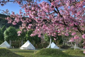 2 Fall in Love with Xiong Glamping in Hsinchu