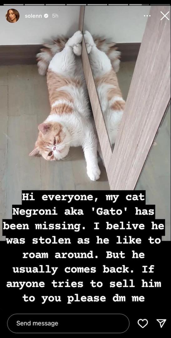 Solenn Heussaff’s Cat Gato Goes Missing: "I Believe He Was Stolen" 2 Solenn Heussaff’s Cat Gato Goes Missing