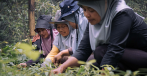 Indonesia's Women-Led Organization Empowers Filipinas to Break Barriers in Agriculture and Conservation 1 The Institute for Studies, Advocacy, and Education