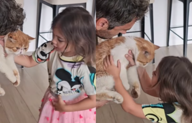 Solenn Heussaff cat El gato found