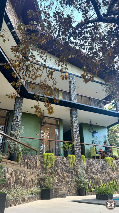 The Pavo: A Luxury Villa in Rizal Built For Intimate Events and Relaxing Staycations 2 The Pavo Luxury Villa Rizal 8955