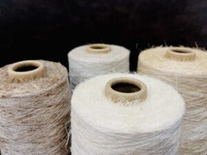 Filipino Invention DOST-TAPI 49th International Exhibition of Inventions Geneva