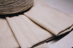 Filipino Invention DOST-TAPI 49th International Exhibition of Inventions Geneva