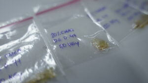 Filipino Invention DOST-TAPI 49th International Exhibition of Inventions Geneva