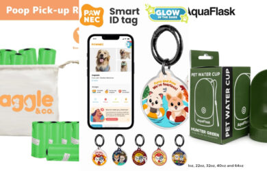 really useful things to buy for pet owners header