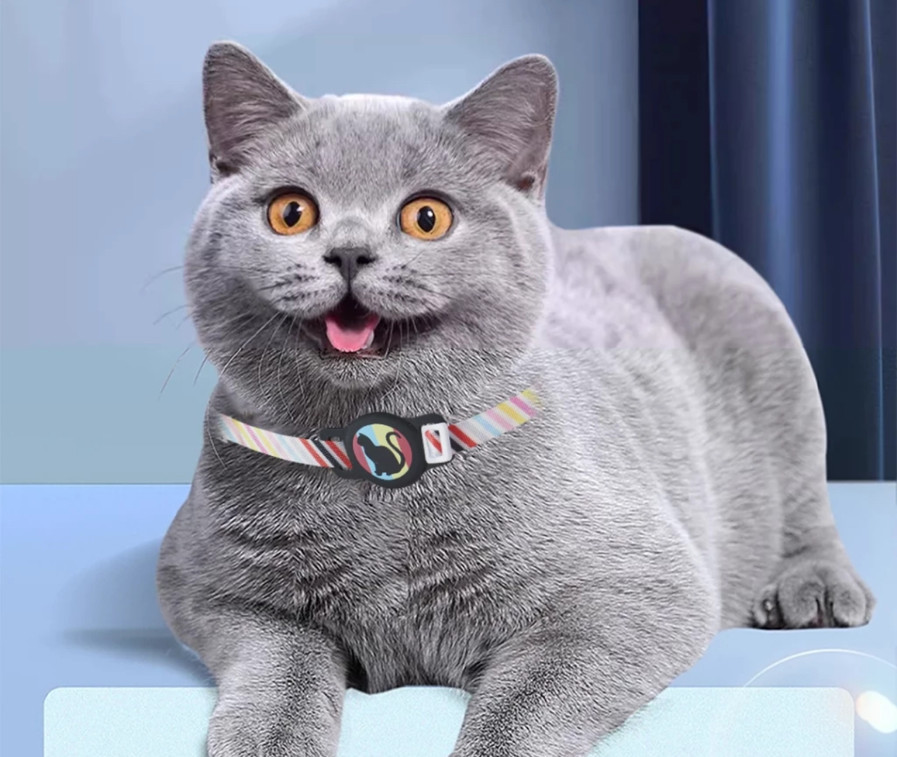 smart bluetooth pet collar shopee