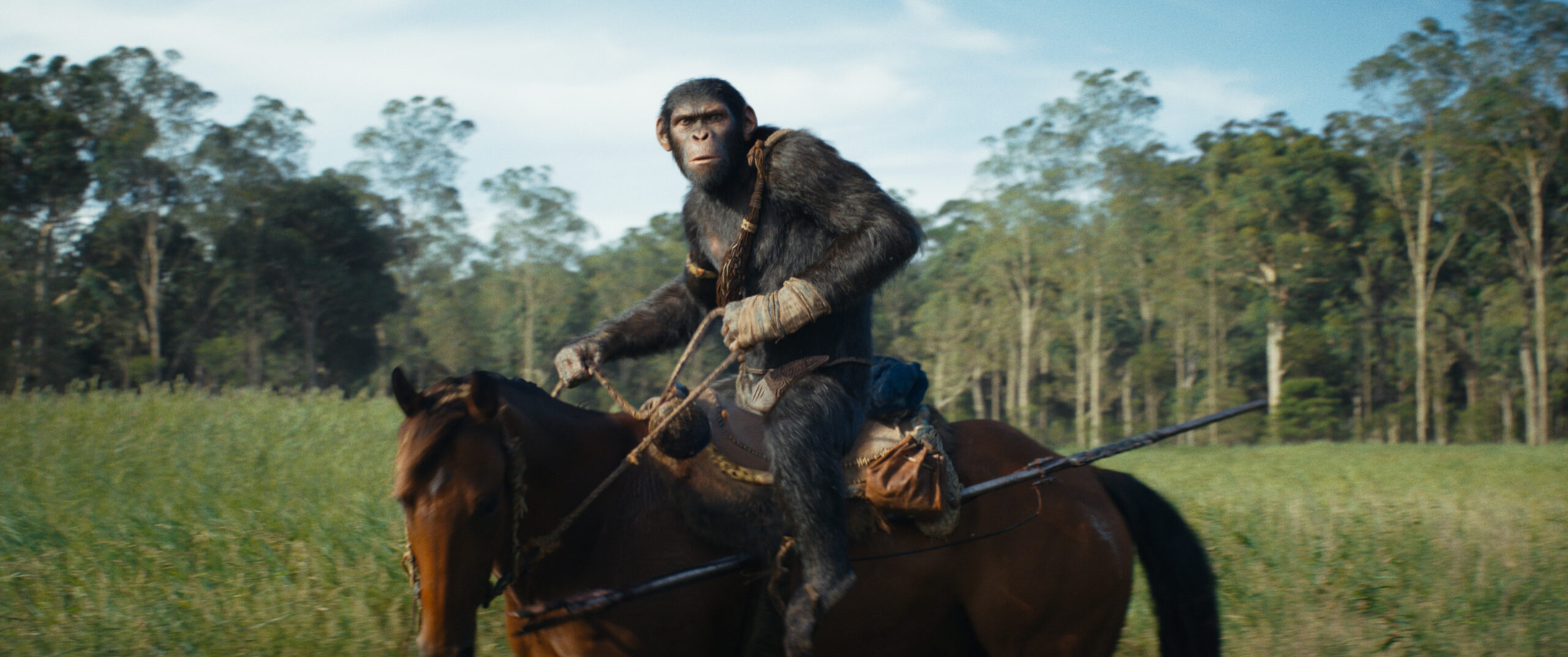 'Kingdom of the Planet of the Apes' Hits PH Theaters May 8—Watch the Trailer Here!