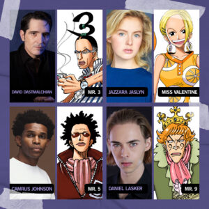 ONE PIECE new cast