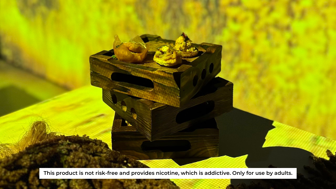 IQOS Philippines Delivers Sensory Experience With Exclusive “IQOS Together X: A Celebration of Pleasure” Event