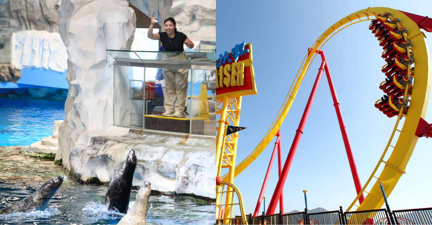 A Guide to Ocean Park Hong Kong: Animal Encounters, Thrilling Rides, Water Adventures, and a Whole Lot of Fun