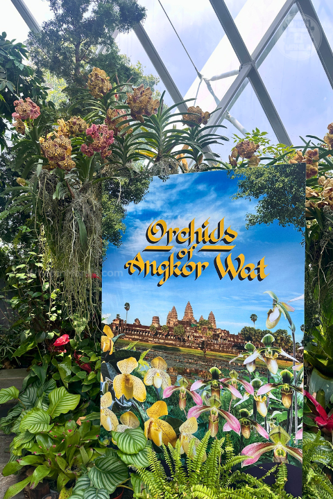 cloud forest singapore 4
