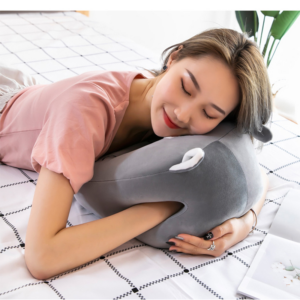 Make Your Naptime More Relaxing With These Cozy Pillows 1 Nap pillow Lazada
