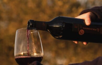 5829A41D 69AA 401D BA1D 7CE01BCCE294