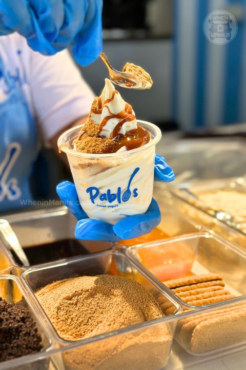 Pablos Frozen Yogurt 2