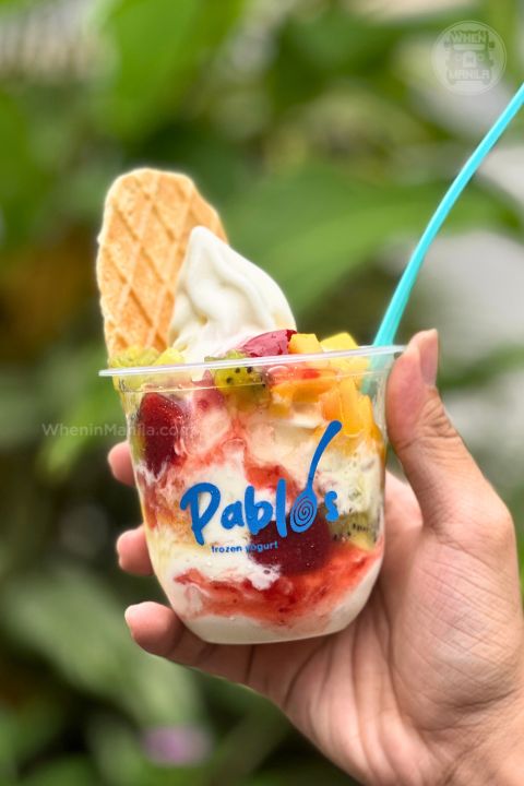 Pablos Frozen Yogurt 5