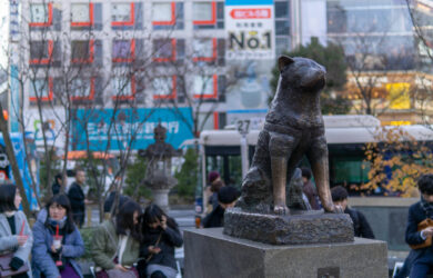 hachiko shibuya darel low unsplash stock