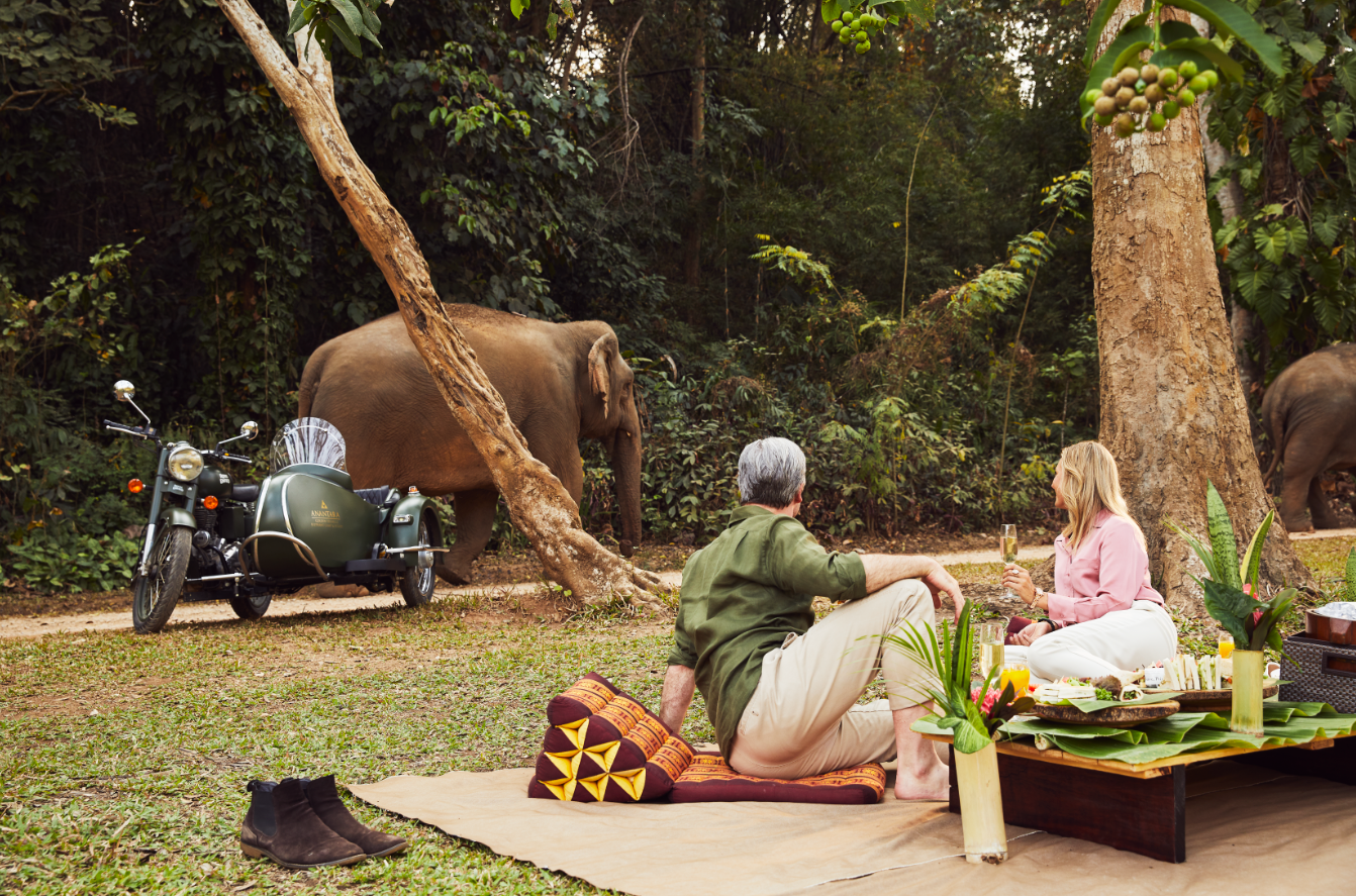 Elephant Picnic_Valentine's Day_Anantara Golden Triangle1