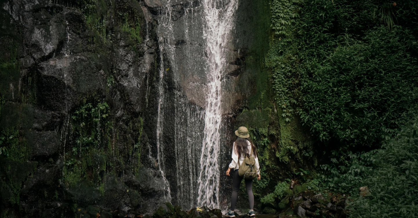 Conrad Bali Resort - Forest Bathing and Foraging