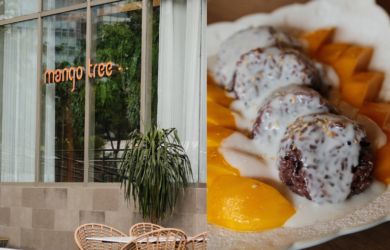 Mango Tree
