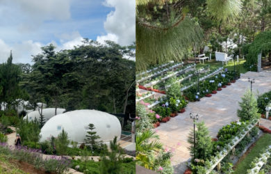 Taglucop Strawberry Hills Cocoon Suite