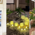 Moon Tribe Project Davao's Well-Fest and Guided Meditation
