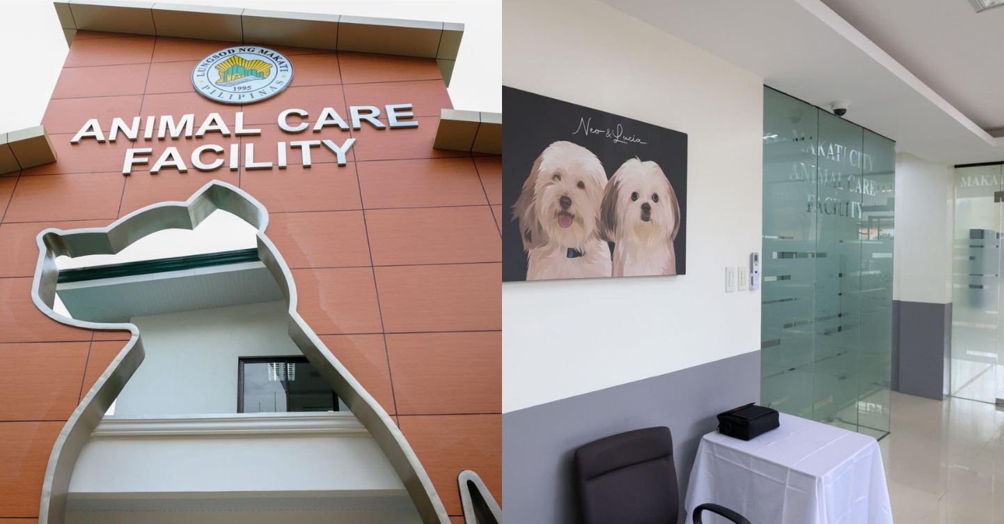 LOOK: Makati City Opens First Animal Care Facility in the Philippines 1 My Makati