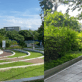 Green Spaces in Davao: Doña Vicenta Park