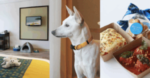 Belmont Hotel Boracay | This Pet-Friendly Hotel in Boracay Has a Pet Menu and Amenities for Your Fur Baby