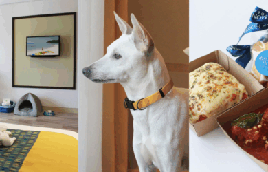 Belmont Hotel Boracay | This Pet-Friendly Hotel in Boracay Has a Pet Menu and Amenities for Your Fur Baby