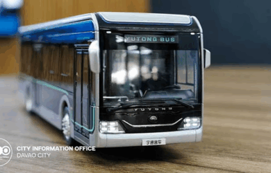 Davao City Interim Bus System