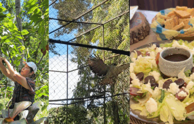 5 Uniquely Davao Activities to Try this Kadayawan