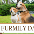 FURMILY COMMS e1754068195663
