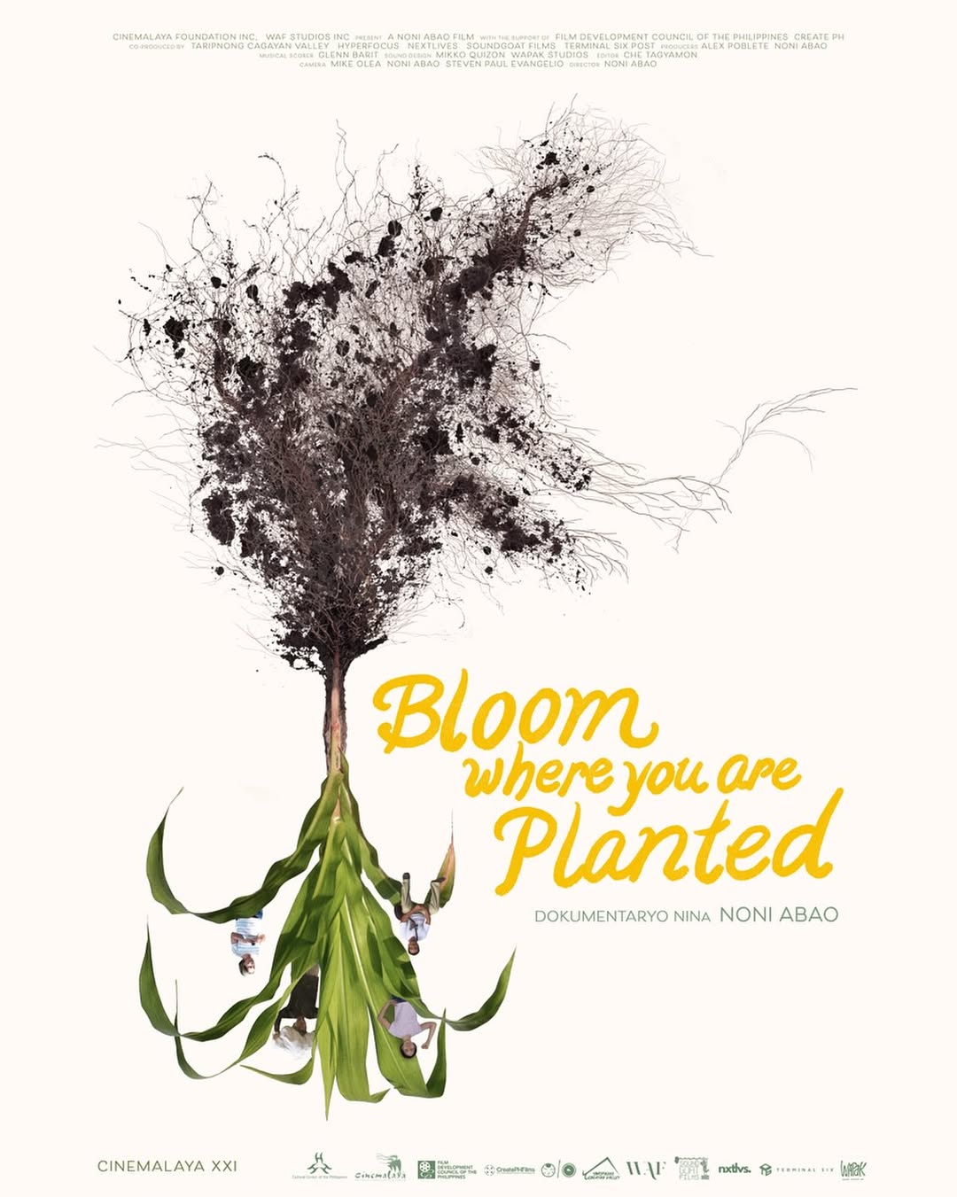 Bloom Where You are Planted by Noni Abao