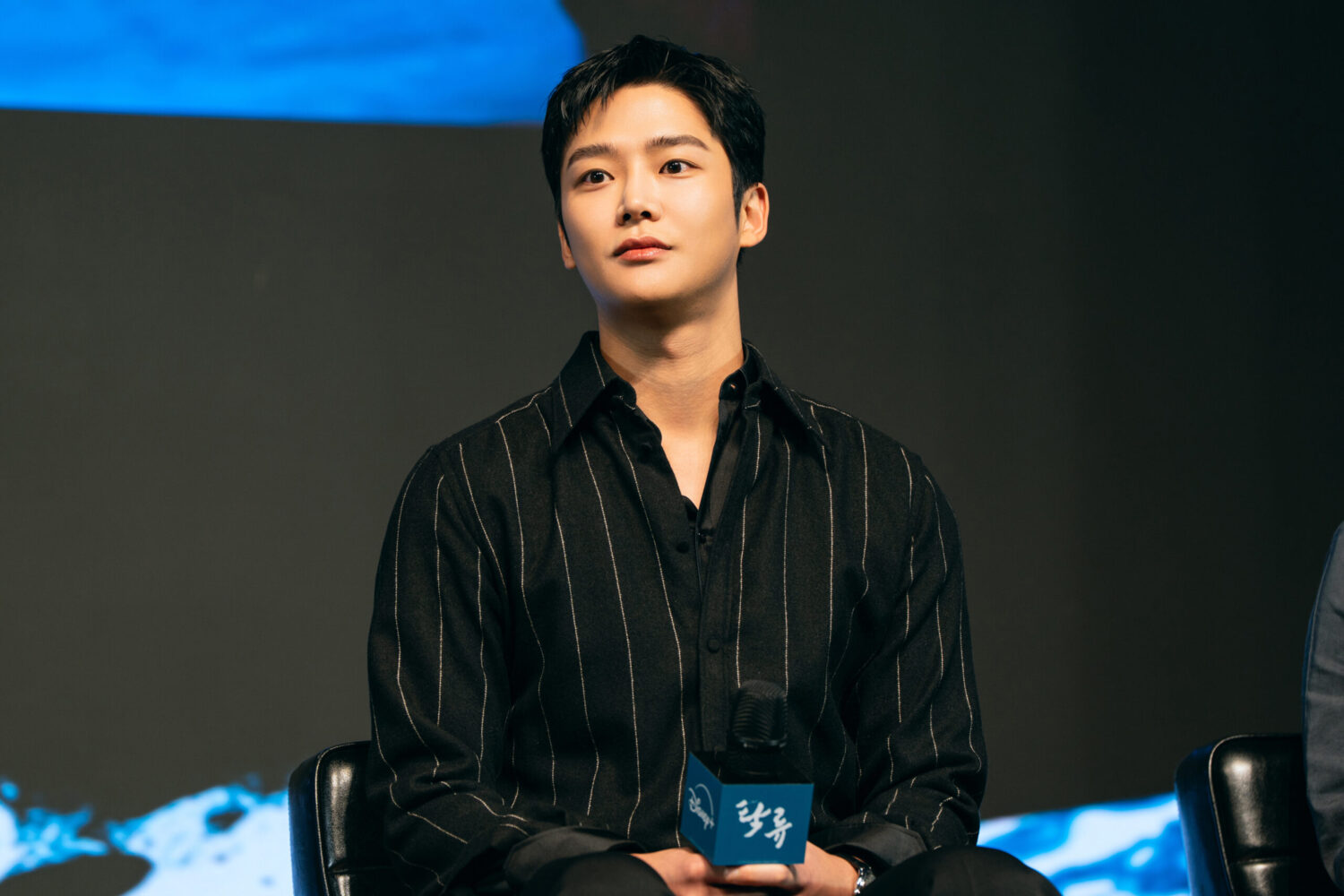 The Murky Stream Cast Rowoon