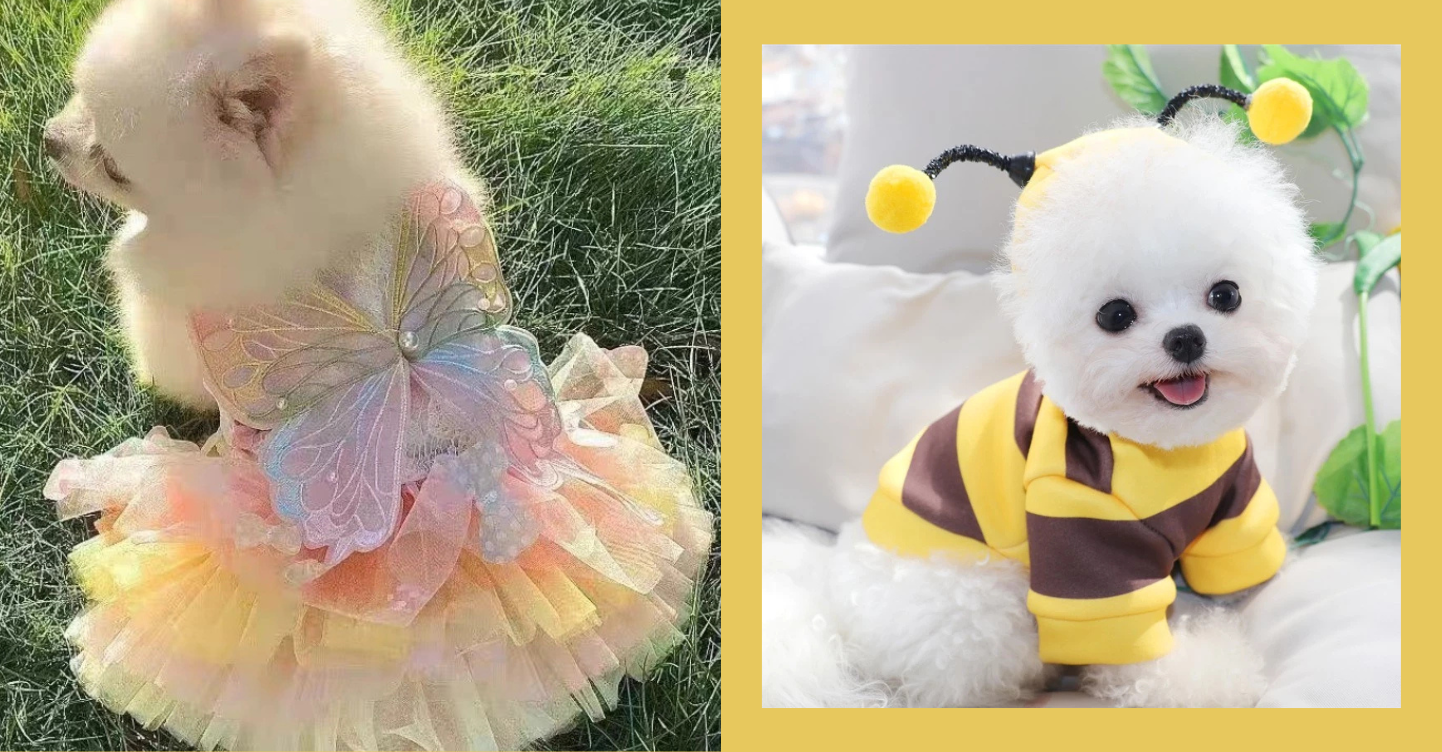 Spooky Season or Not, These Pet Costumes Are a Year-Round Mood - When In Manila