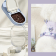 pet travel essentials dogs and cats