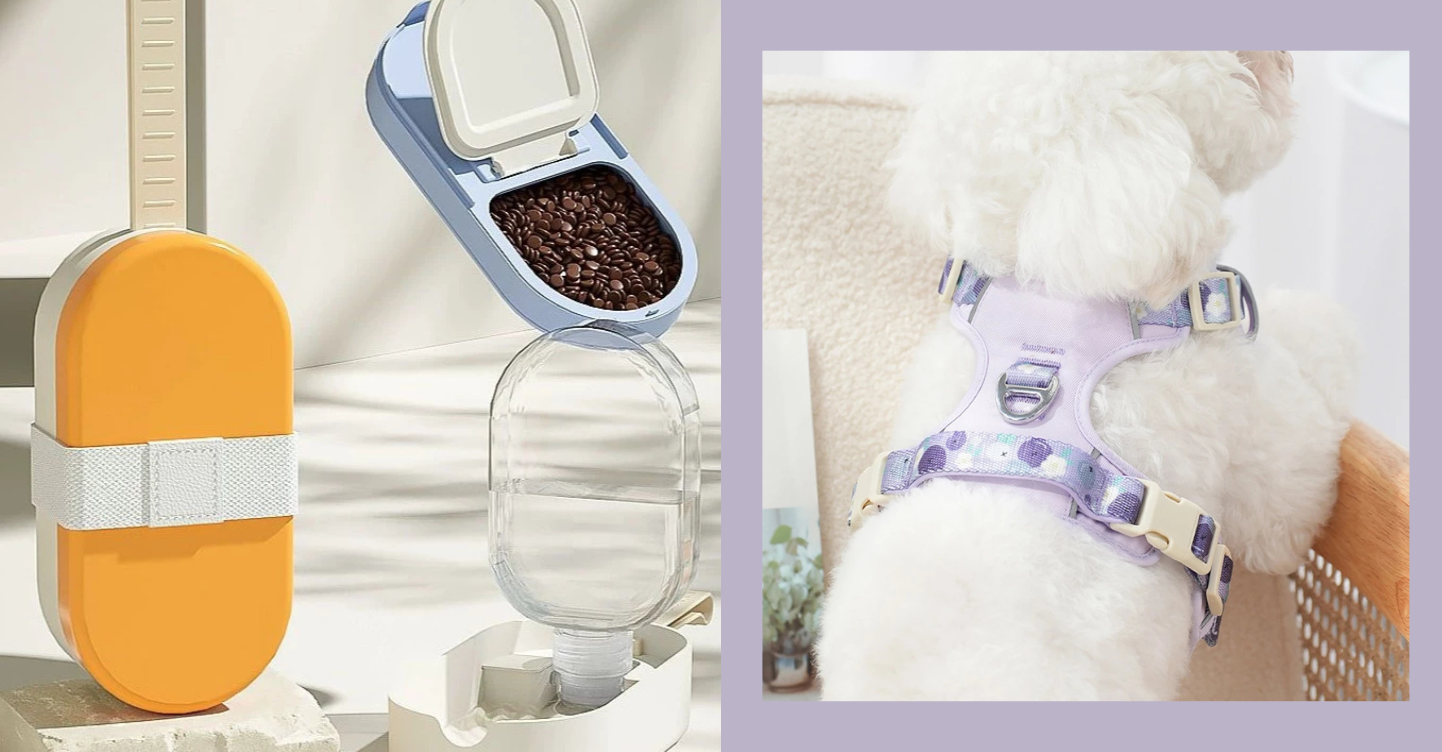 How to Travel with Cats and Dogs: 5 Pet Travel Essentials for Fur Parents on the Go