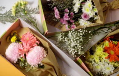 Stems Flowers