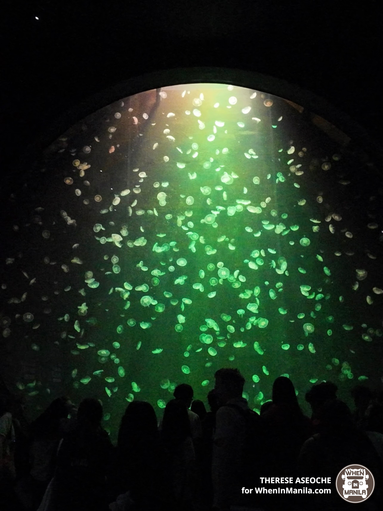 singapore oceanarium