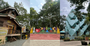 1.FINAL Article HeaderFeatured Image Template 10 1.01.55 PM