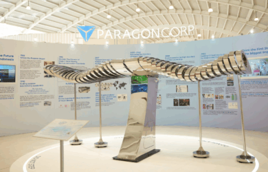 ParagonCorp