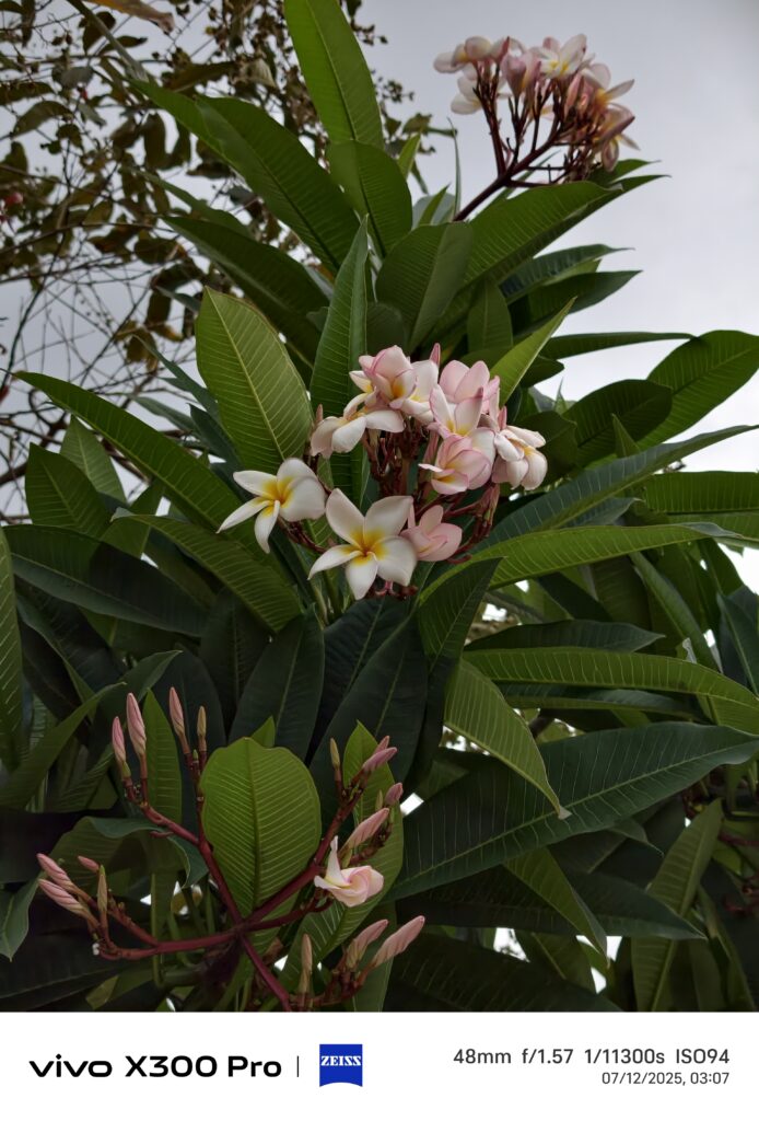 Make Everything Closer than Ever with the vivo X300 Pro 3 IMG 20250712 030751