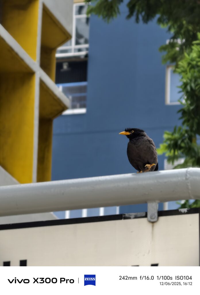 Make Everything Closer than Ever with the vivo X300 Pro 11 IMG 20251206 161201