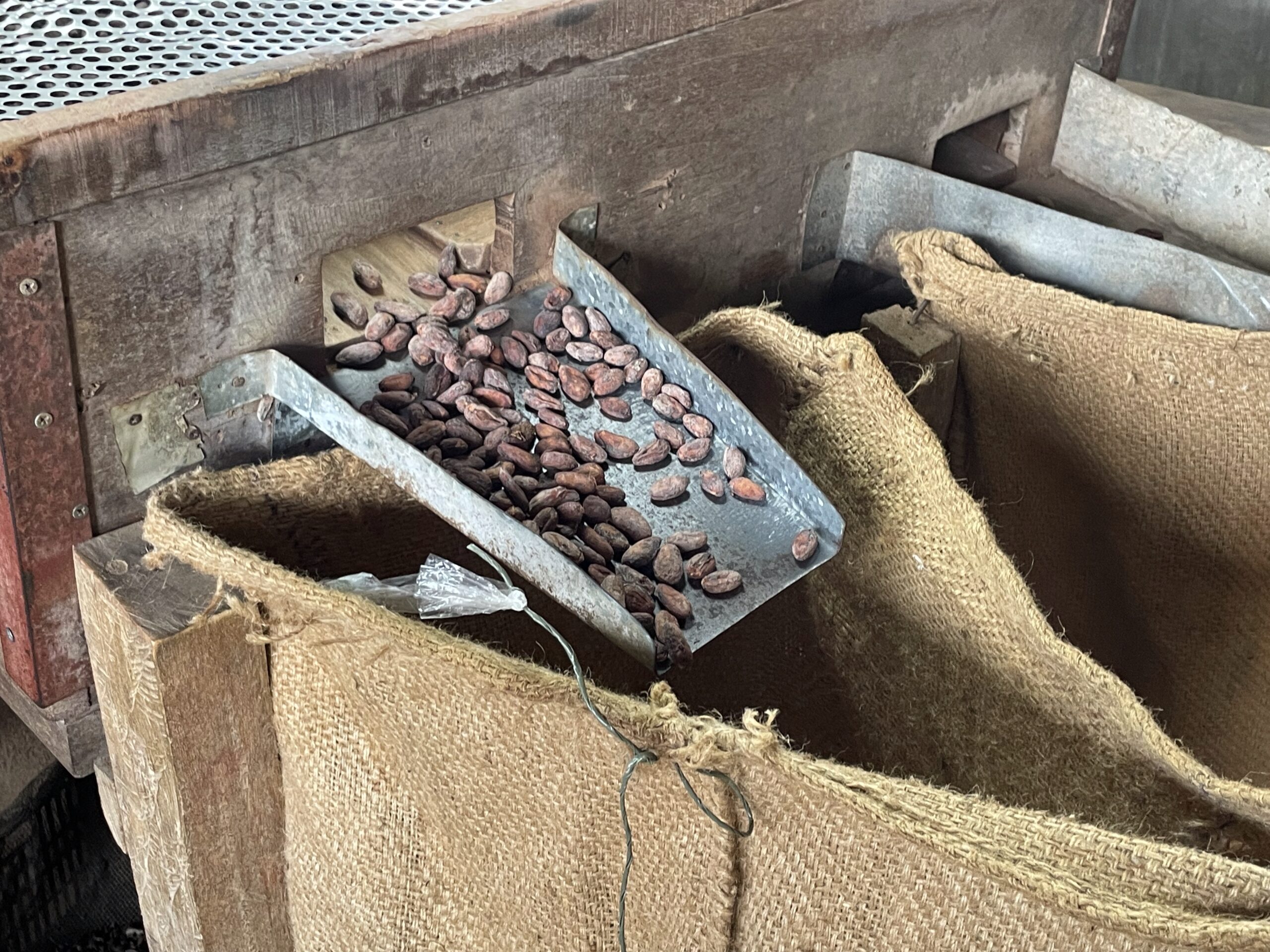 Our Visit to This Davao Resort Gave Us a Whole New Appreciation for Chocolate 3 Malagos Chocolate